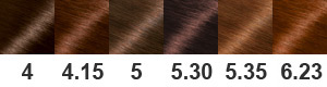 Палитра Garnier Color & Shine - Каштановые оттенки