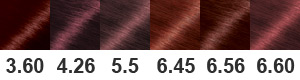 Палитра Garnier Color & Shine - Красные оттенки