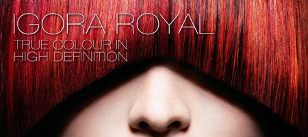 Стойкая краска Schwarzkopf Igora Royal
