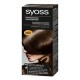Краска для волос SYOSS Color (оттенок 4-1 Каштановый)